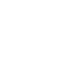 Windows logo